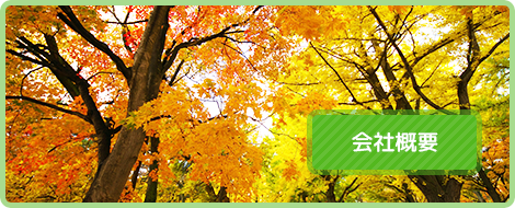 会社概要